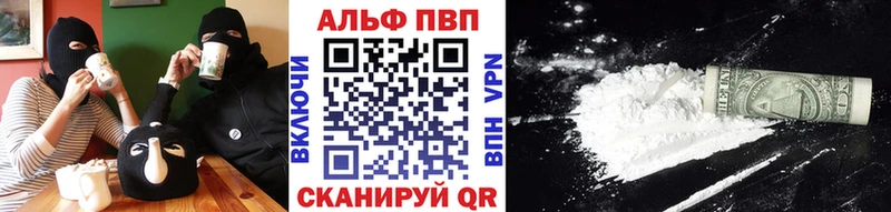 A PVP СК КРИС  Приморск 