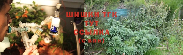 экстази Арсеньев