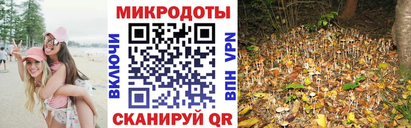blacksprut зеркало Приморск Псилоцибиновые грибы Cubensis